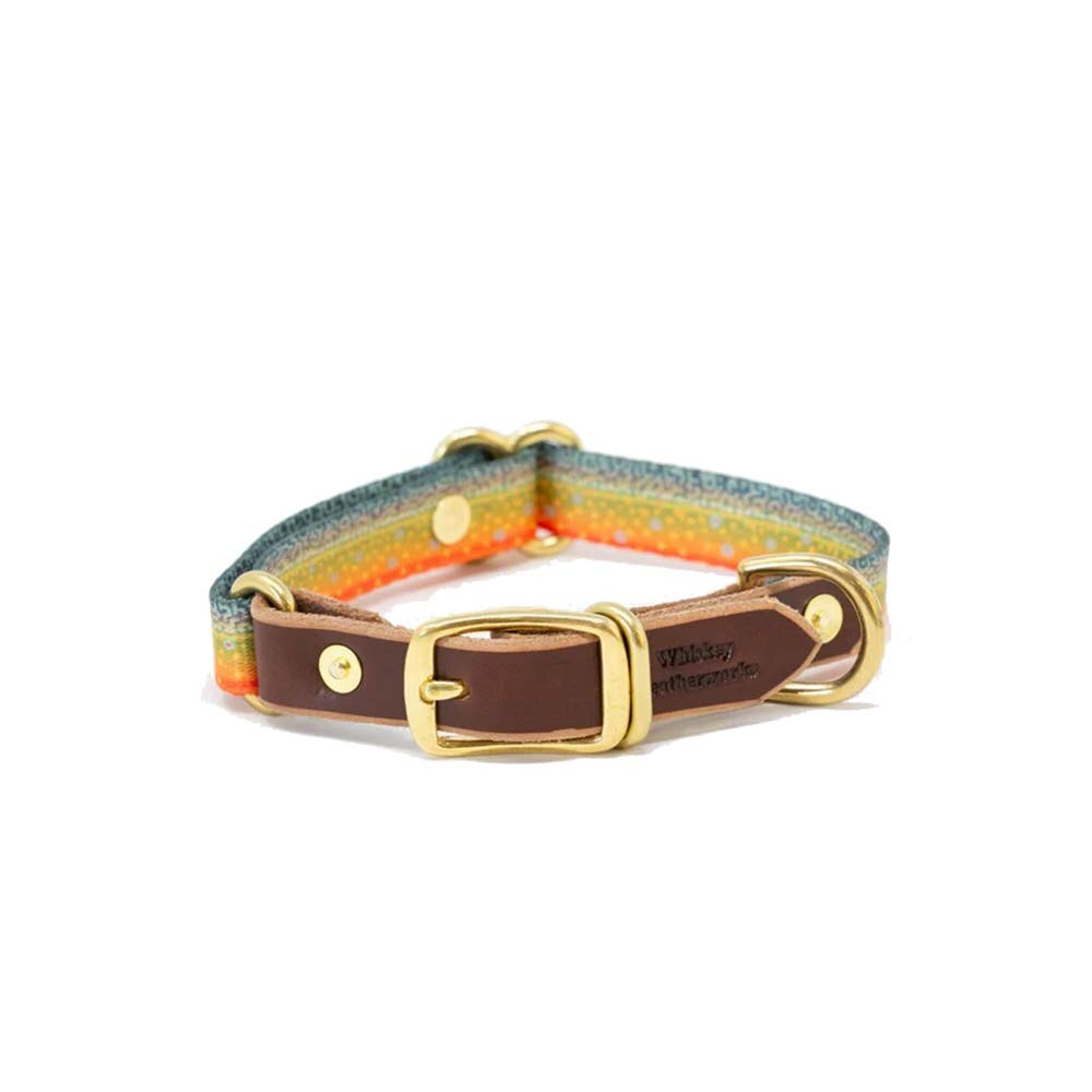 Whiskey Leatherworks Webbing Fish Print Dog Collar in Brook Trout